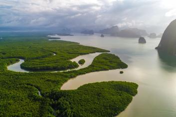 Why Indigenous Perspectives Are Crucial for Sustainable Climate Solutions
